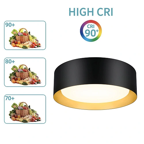 flush mount ceiling light
