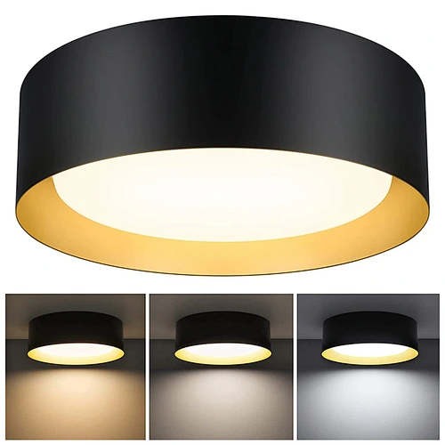 Modern Dimmable Ceiling Lamp