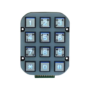 Metallic Access Control Keypad