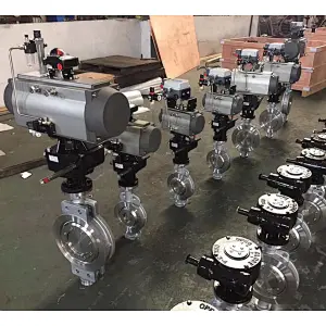OFFSET BUTTERFLY VALVE