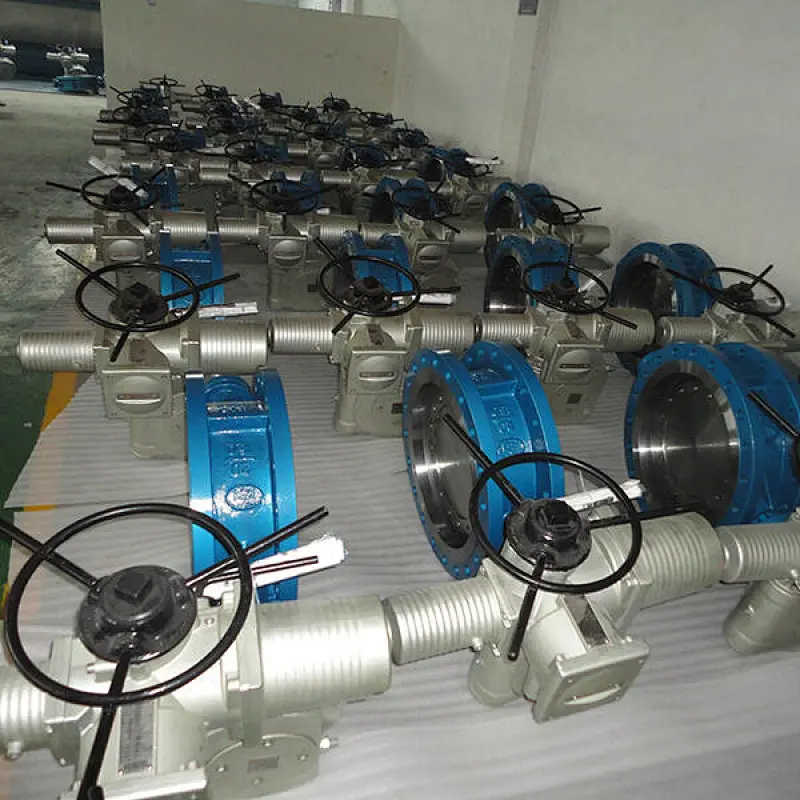OFFSET BUTTERFLY VALVE