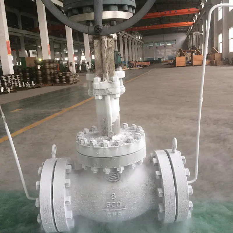 Cryogenic Globe Valve