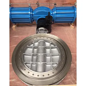 OFFSET BUTTERFLY VALVE