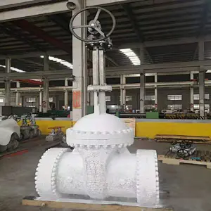 Cryogenic Globe Valve