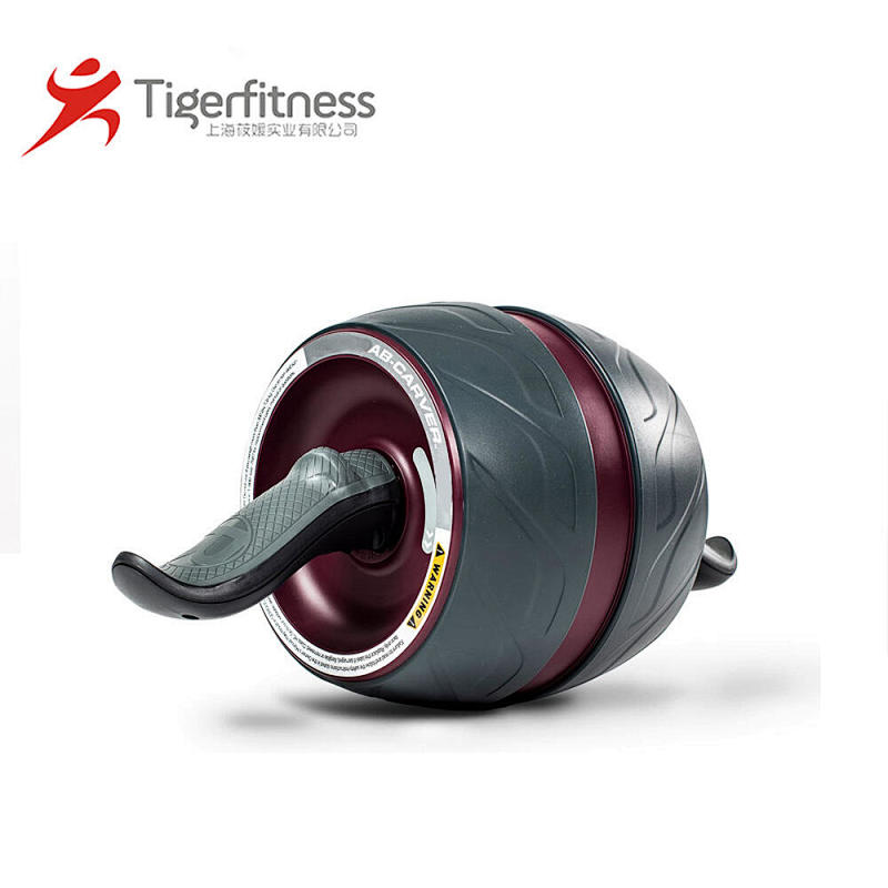 ab power ab roller,ab roller abdominal exerciser,ab roller dvd,ab roller manual,ab roller plus