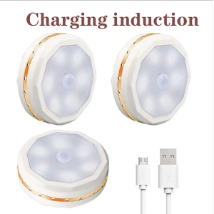 6 LED Motion sensor wall for house night light