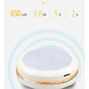 6 LED Motion sensor wall for house night light