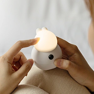 LED motion sensor night light
