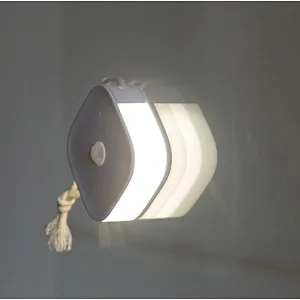 USB rechargeable motion sensor LED night light