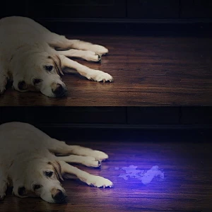 51 LED uv flashlight