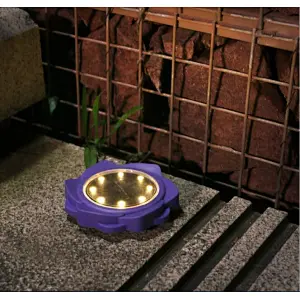 New design buried landscape decorative flower shape power street solar light 8 LED lights