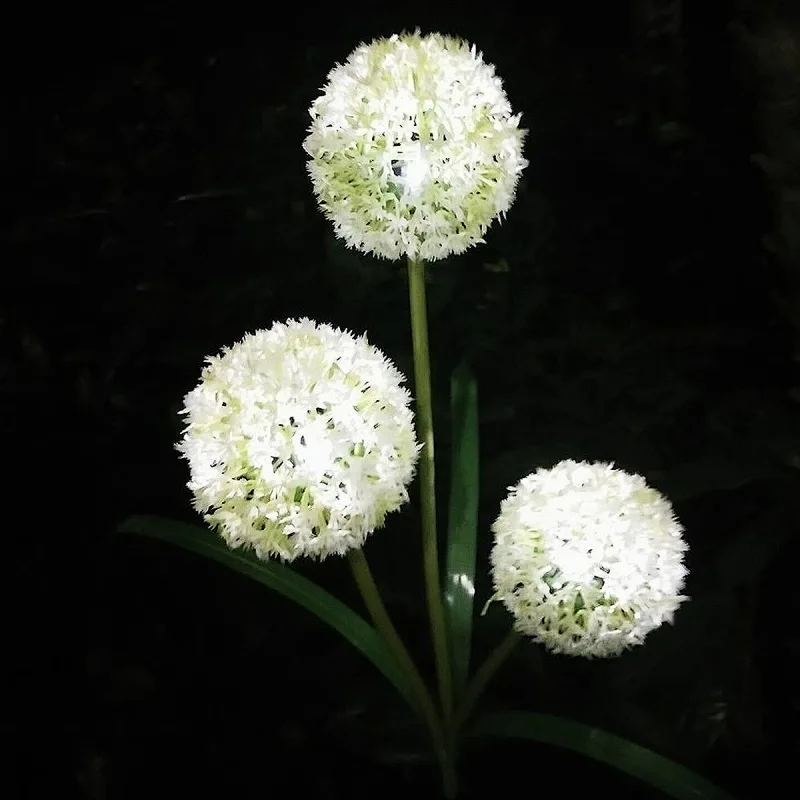 Durable decorative LED garden yard dandelion waterproof IP55 solar flower lights