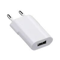 SGS certified private mold 5V 1A charger Apple