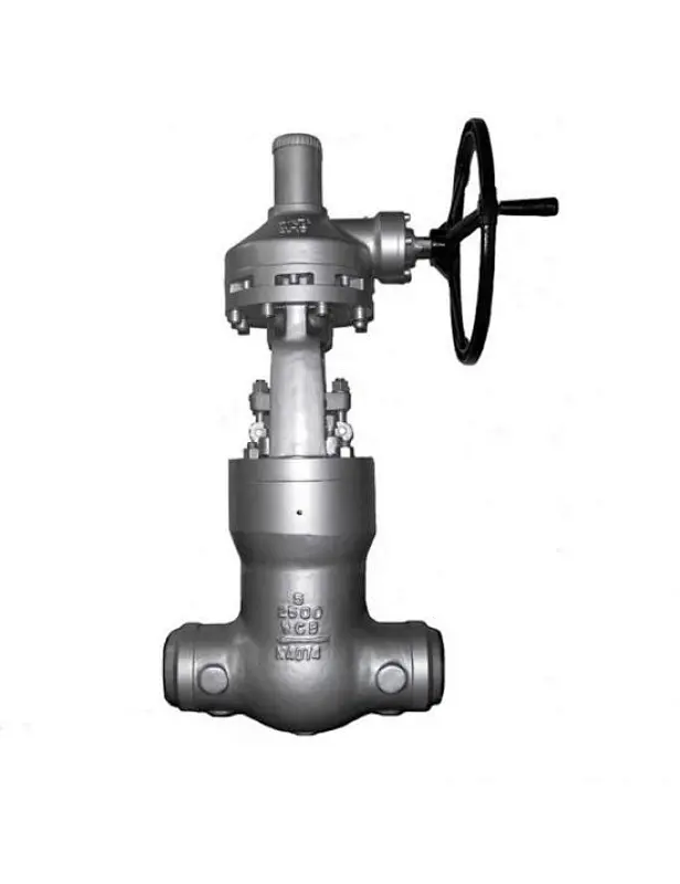 Pressure Seal Type Globe Valves
pressure design,globe valve types,pressure seal valve
