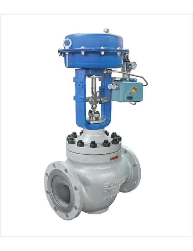 Top cage guided control valve manufacturer | Athena S.R.L