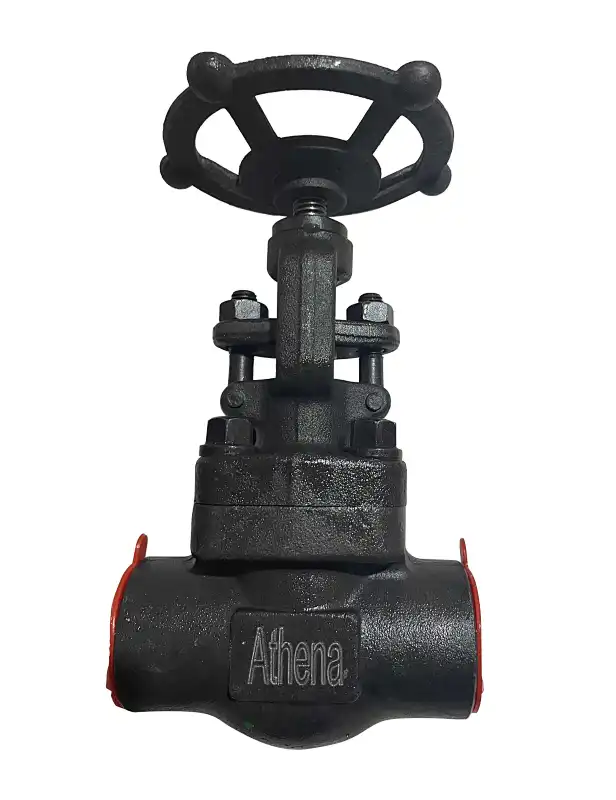 forged steel valve,globe valve types,forged steel globe valves