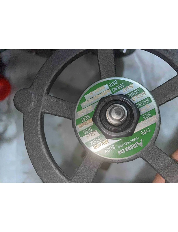 os&y gate valve,Forged Steel Gate Valves,api 602