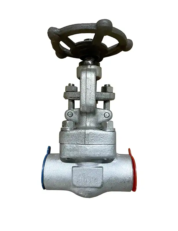 forged steel valve,globe valve types,forged steel globe valves