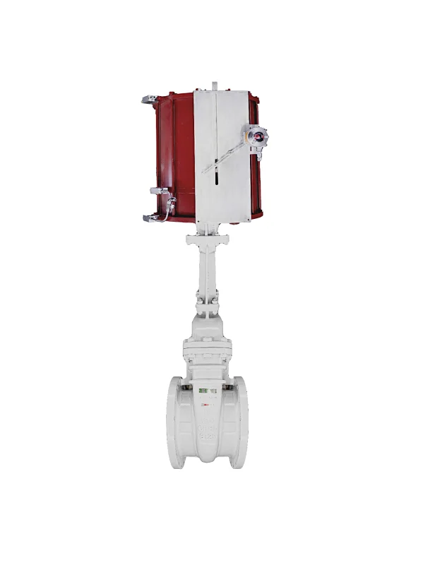 Athena engineering S.R.L-Pneumatic Gate Valves
pneumatic gate valve,pneumatic gate,pneumatic valve