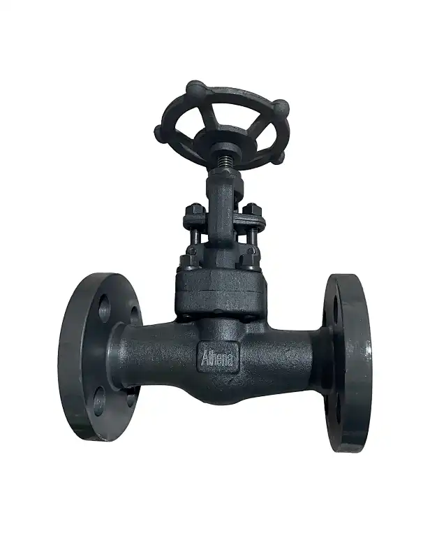 forged steel valve,globe valve types,forged steel globe valves