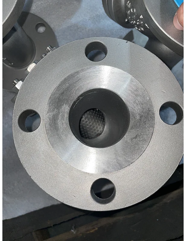 cast steel y type strainer,flange strainer,flange filter