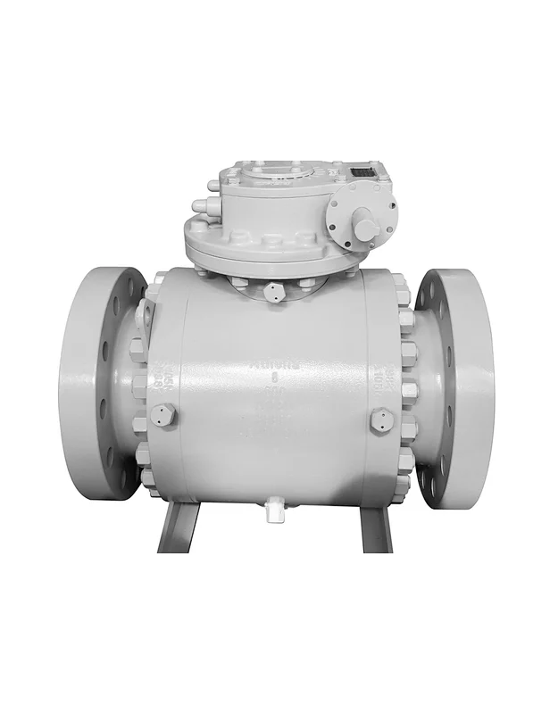 trunnion mounted ball valve,trunnion ball valve manufacturers,api 6d ball valve