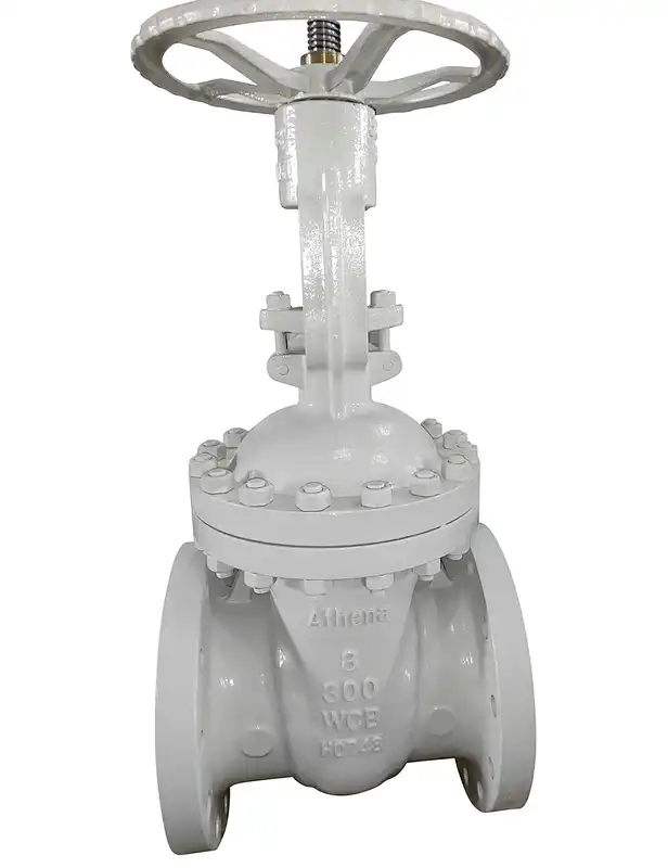 Legend 116-124 T-303 OS & Y Cast Iron Gate Valve Flanged 4