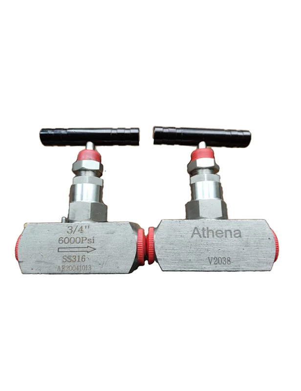 needle type globe valve