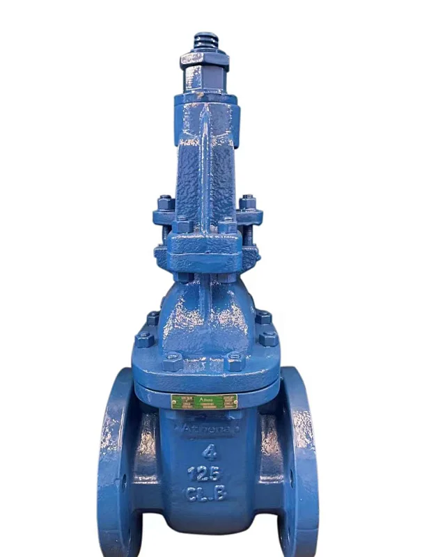 rising gate valve