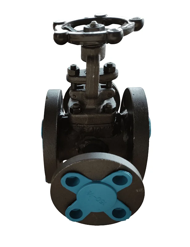 water pipe gate valve