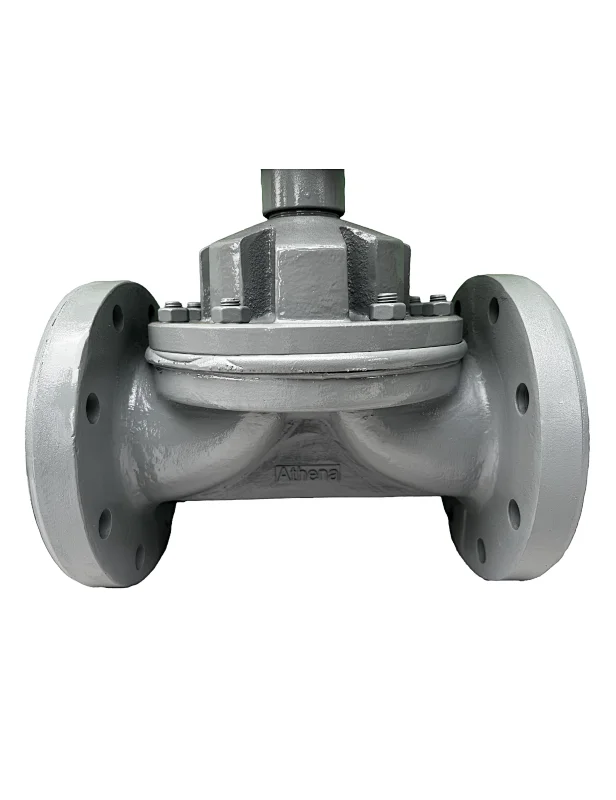Diaphragm Valve