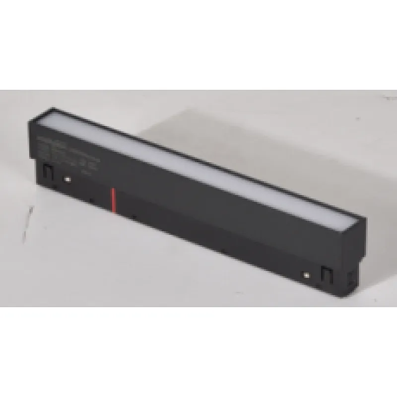 Flood LED Magnetic Light