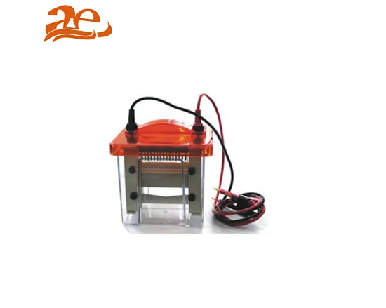 vertical electrophoresis