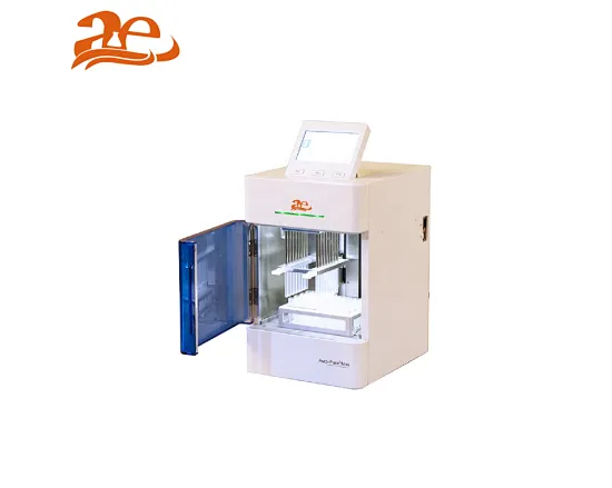 nucleic acid