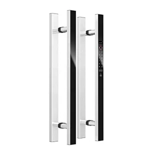 New Product 2020 Smart Electric Handle Lock for Single Door/double Door