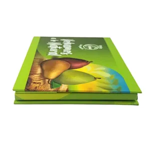 Touch screen A5 video brochure