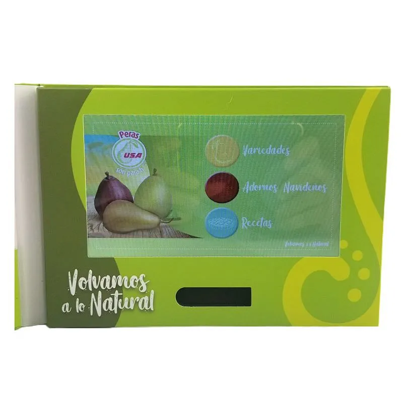 Touch screen A5 video brochure
