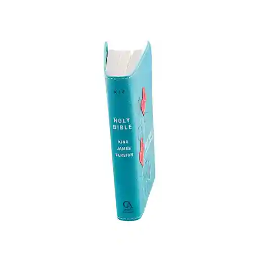 Printing Book Cheap Holy Bible