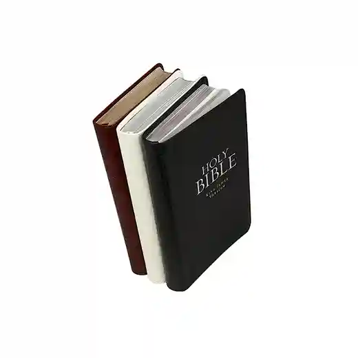  king james bible in leather