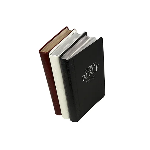 king james bible in leather