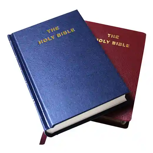 cheap mini king james bible