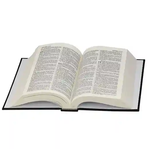  king james bible in leather