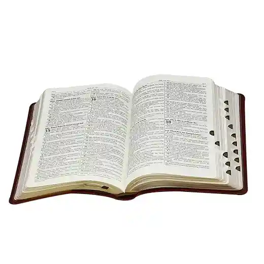 English Bible Kjv Version