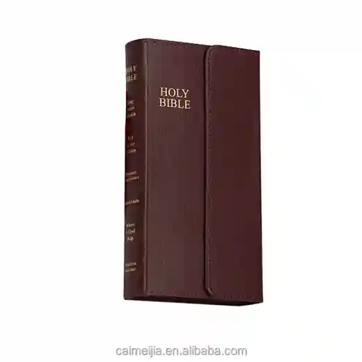 cheap james holy bible