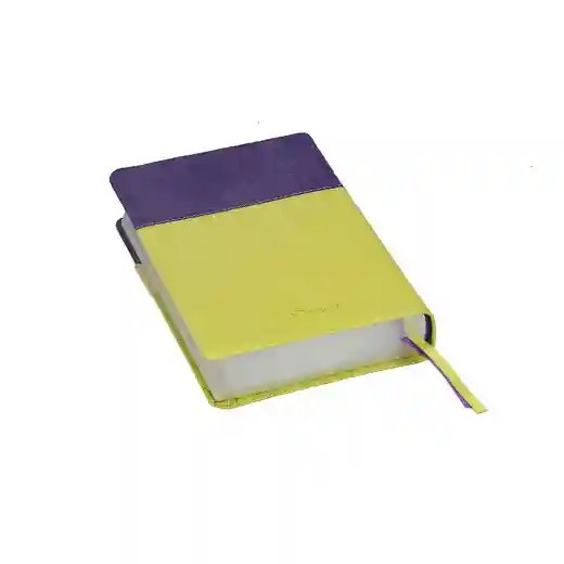  bible book