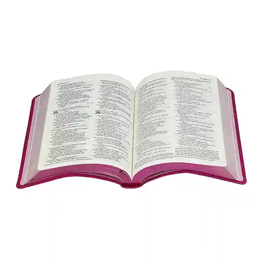 holy bible printing service