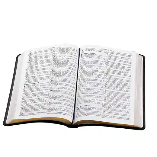 wholesale bible，holy bible printing