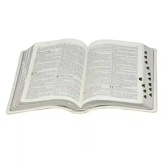  leather bible cover;King James version bible;Leather cover bible printing