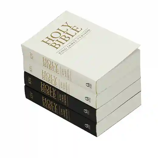 Holy Bible Study Book