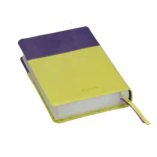 The New Kjv Bible